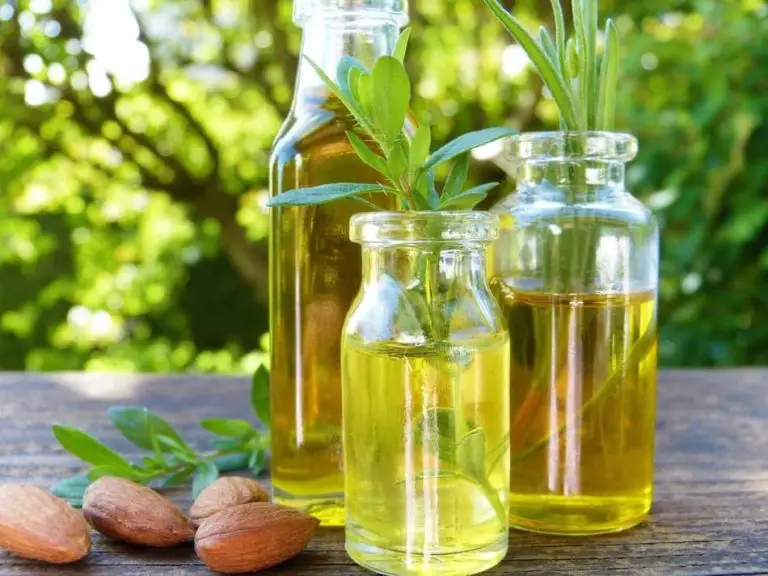 Is Almond Oil Good For Leather? (10 Pros And Cons Explained