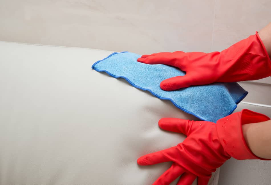 Does Leather Cleaner Kill Germs