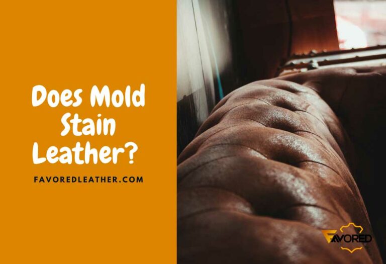 Does Mold Stain Leather? 3 Reasons & How To Fix Mold Stain FavoredLeather