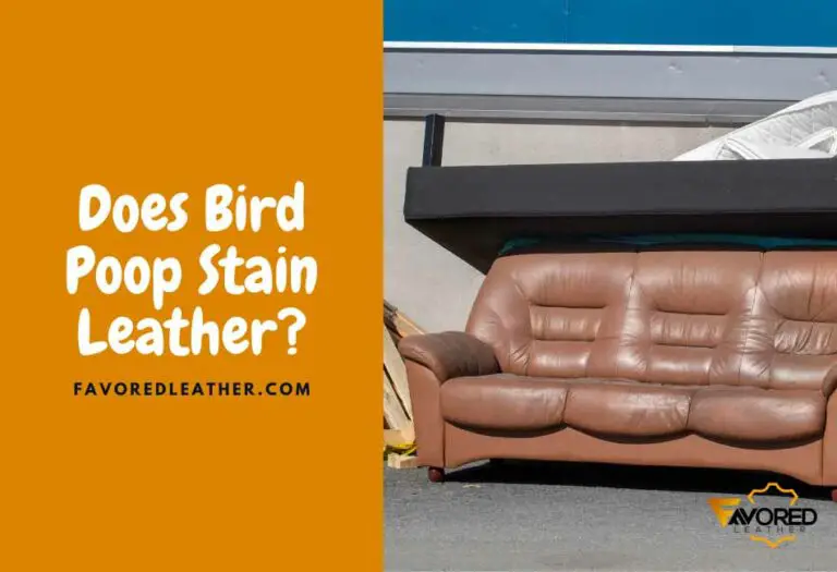 5 Reasons Bird Poop Stain Leather & 3 Home Remedies FavoredLeather